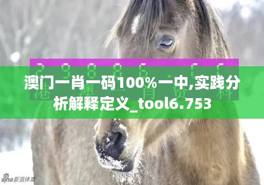 澳门一肖一码100%一中,实践分析解释定义_tool6.753