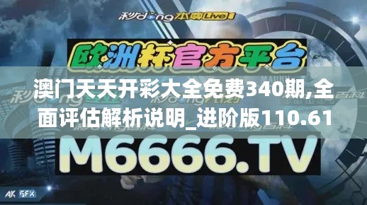 澳门天天开彩大全免费340期,全面评估解析说明_进阶版110.617