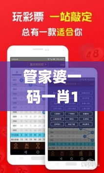 管家婆一码一肖100准340期,可靠性方案操作策略_VIP4.796