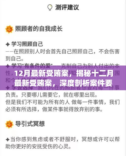 揭秘最新受贿案，深度剖析十二月案件要点