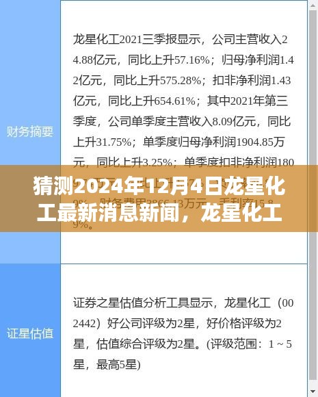 龙星化工未来展望，友情、梦想与家的温馨交汇点 —— 2024年12月4日最新消息新闻揭秘