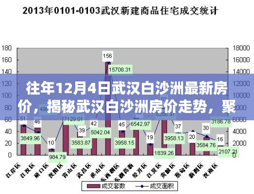 揭秘武汉白沙洲房价走势，历年12月最新数据聚焦白沙洲房价动态