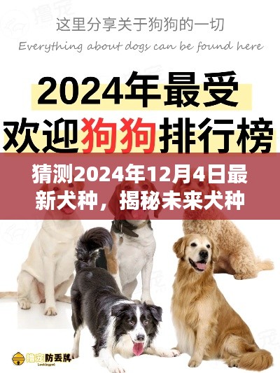 揭秘未来犬种新星，预测犬界新宠犬种概览（2024年犬种展望）