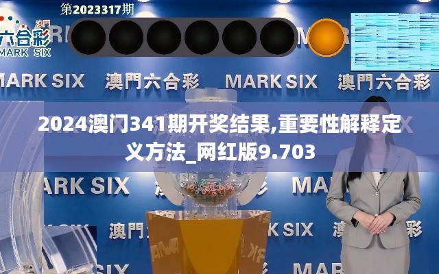 2024澳门341期开奖结果,重要性解释定义方法_网红版9.703