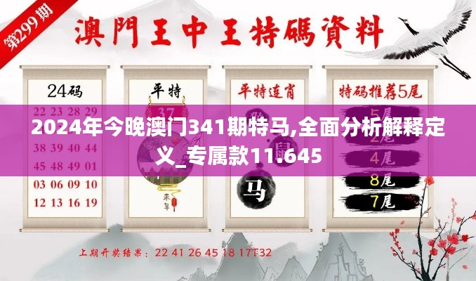 2024年今晚澳门341期特马,全面分析解释定义_专属款11.645