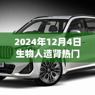 2024年人造肾最新进展，科技奇迹与友情纽带下的温馨日常