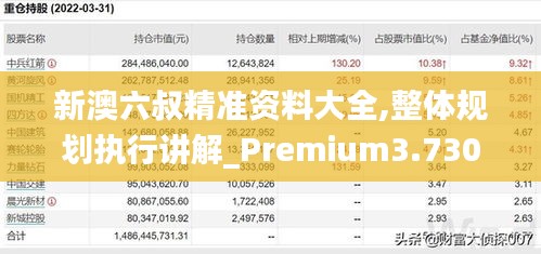 新澳六叔精准资料大全,整体规划执行讲解_Premium3.730