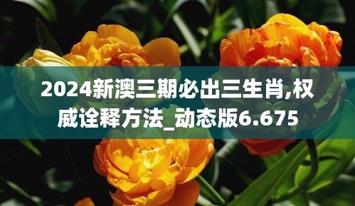 2024新澳三期必出三生肖,权威诠释方法_动态版6.675