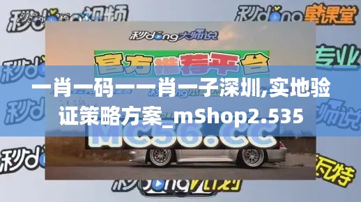 一肖一码一一肖一子深圳,实地验证策略方案_mShop2.535