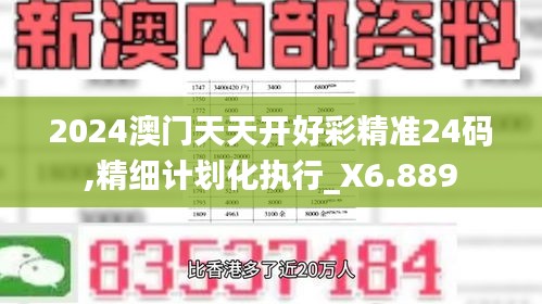 2024澳门天天开好彩精准24码,精细计划化执行_X6.889