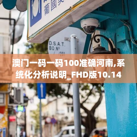 澳门一码一码100准确河南,系统化分析说明_FHD版10.149