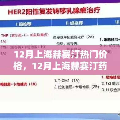 12月上海赫赛汀药品价格解析及热门价格探讨