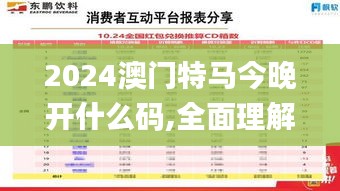 2024澳门特马今晚开什么码,全面理解执行计划_复古版4.462