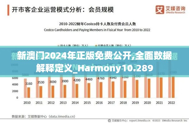 新澳门2024年正版免费公开,全面数据解释定义_Harmony10.289