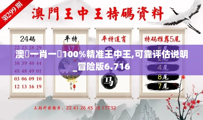 澳門一肖一碼100%精准王中王,可靠评估说明_冒险版6.716