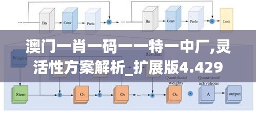 澳门一肖一码一一特一中厂,灵活性方案解析_扩展版4.429