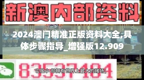 2024澳门精准正版资料大全,具体步骤指导_增强版12.909