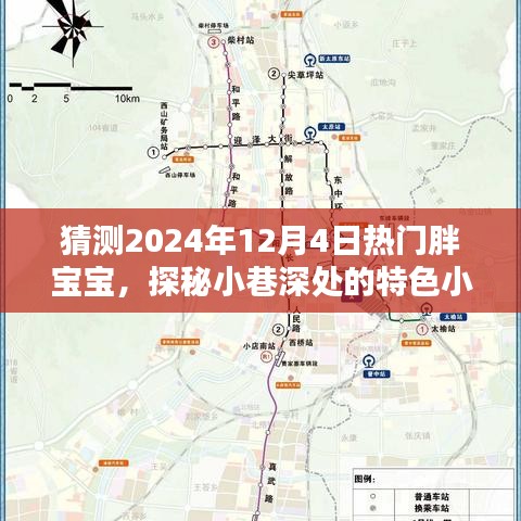 探秘小巷深处的特色小店，预测未来热门胖宝宝，揭秘2024年12月4日流行趋势！