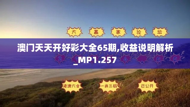 澳门天天开好彩大全65期,收益说明解析_MP1.257