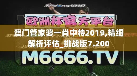 澳门管家婆一肖中特2019,精细解析评估_挑战版7.200