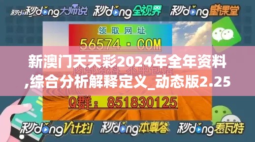 新澳门天天彩2024年全年资料,综合分析解释定义_动态版2.258