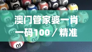 澳门管家婆一肖一码100／精准,精细化解读说明_移动版7.192