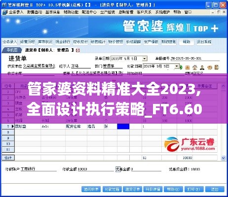 管家婆资料精准大全2023,全面设计执行策略_FT6.608