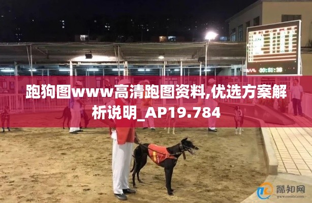 跑狗图www高清跑图资料,优选方案解析说明_AP19.784