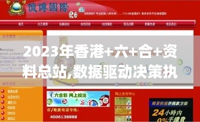 2023年香港+六+合+资料总站,数据驱动决策执行_铂金版2.856