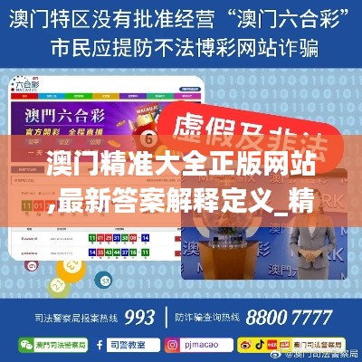 澳门精准大全正版网站,最新答案解释定义_精装款7.119