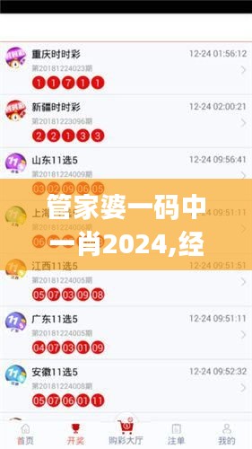 管家婆一码中一肖2024,经典案例解释定义_豪华版9.672