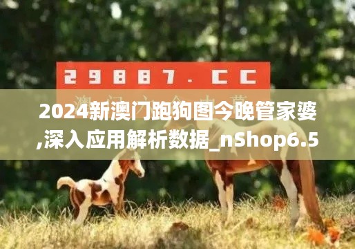 2024新澳门跑狗图今晚管家婆,深入应用解析数据_nShop6.537