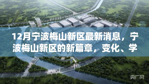 宁波梅山新区新篇章，变革、学习与自信，迎接光辉岁月的来临