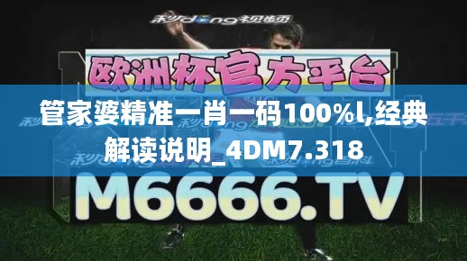 管家婆精准一肖一码100%l,经典解读说明_4DM7.318