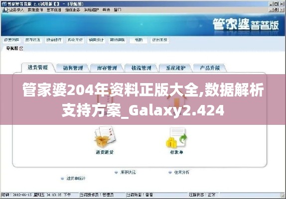 管家婆204年资料正版大全,数据解析支持方案_Galaxy2.424