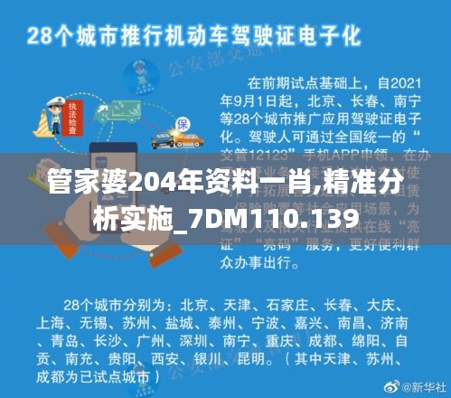 管家婆204年资料一肖,精准分析实施_7DM110.139