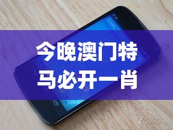 今晚澳门特马必开一肖341期,经济性方案解析_Nexus4.209