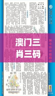 澳门三肖三码精准100%新华字典341期,实践性计划推进_Kindle9.544