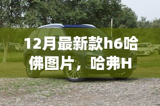 哈弗H6新款冬季亮相，温情之旅启动图片展示