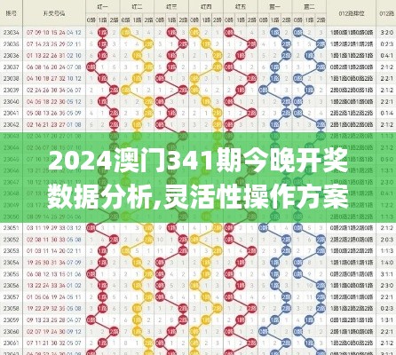 2024澳门341期今晚开奖数据分析,灵活性操作方案_2D2.424