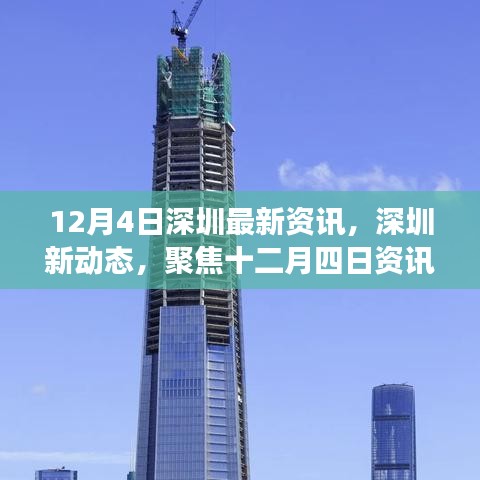 深圳最新动态聚焦，十二月四日资讯与深圳发展观察