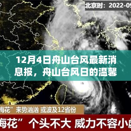 舟山台风最新动态，台风日的温馨日常与风雨中的暖心故事