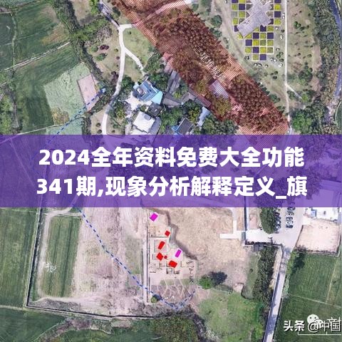 2024全年资料免费大全功能341期,现象分析解释定义_旗舰款2.886