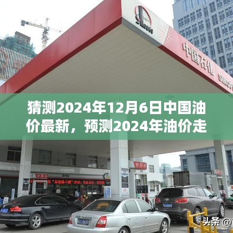 2024年中国油价预测与展望，新篇章下的油价走向及最新动态分析