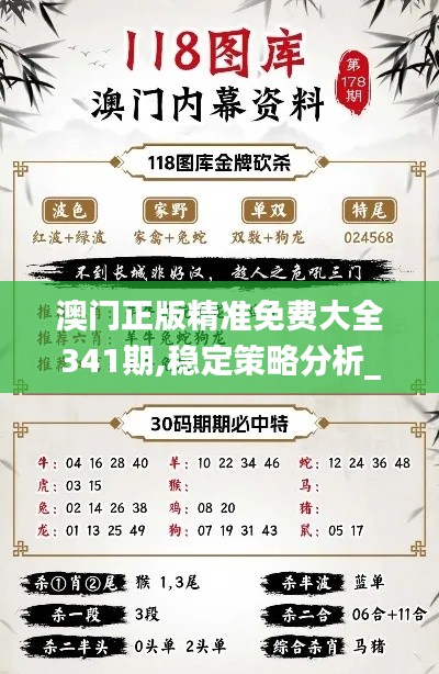 澳门正版精准免费大全341期,稳定策略分析_超值版6.354