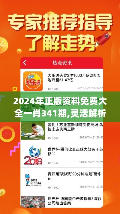 2024年正版资料免费大全一肖341期,灵活解析设计_免费版13.873