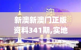 新澳新澳门正版资料341期,实地研究解释定义_Premium4.840