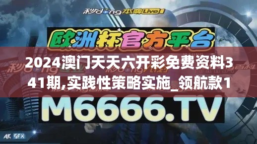 2024澳门天天六开彩免费资料341期,实践性策略实施_领航款10.288