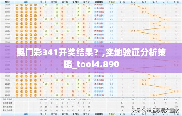 奥门彩341开奖结果？,实地验证分析策略_tool4.890