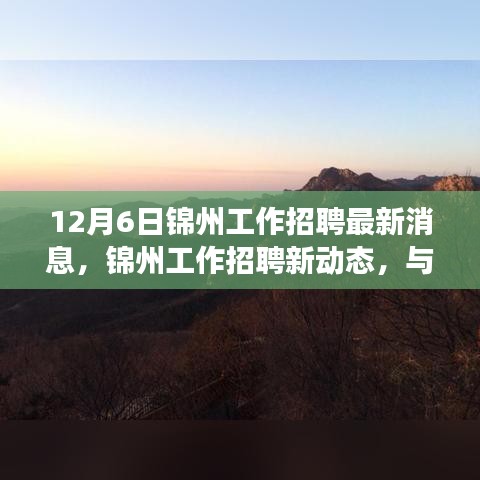 12月6日锦州工作招聘最新动态，与自然共舞，心灵宁静之旅启程